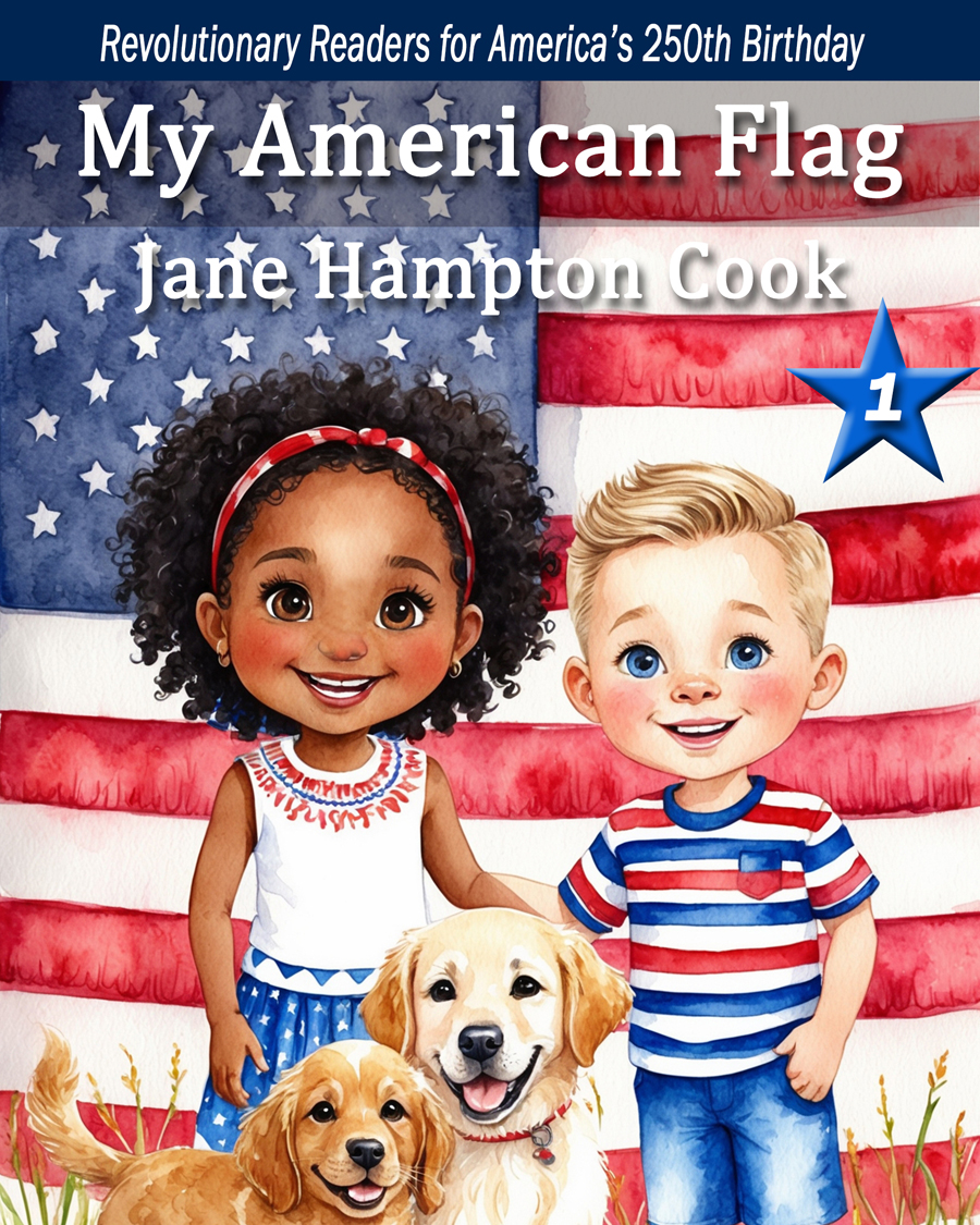 My American Flag book cover